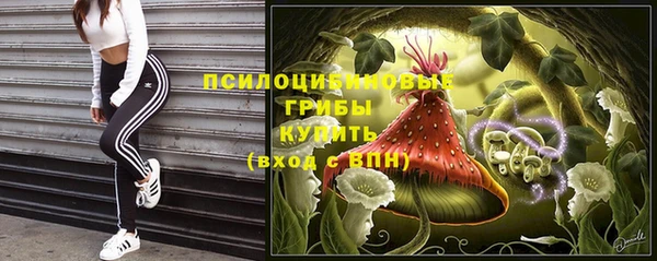 герыч Алзамай