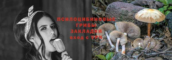 герыч Алзамай