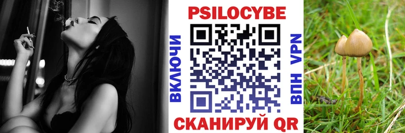 Псилоцибиновые грибы мицелий даркнет какой сайт Красноуфимск хочу